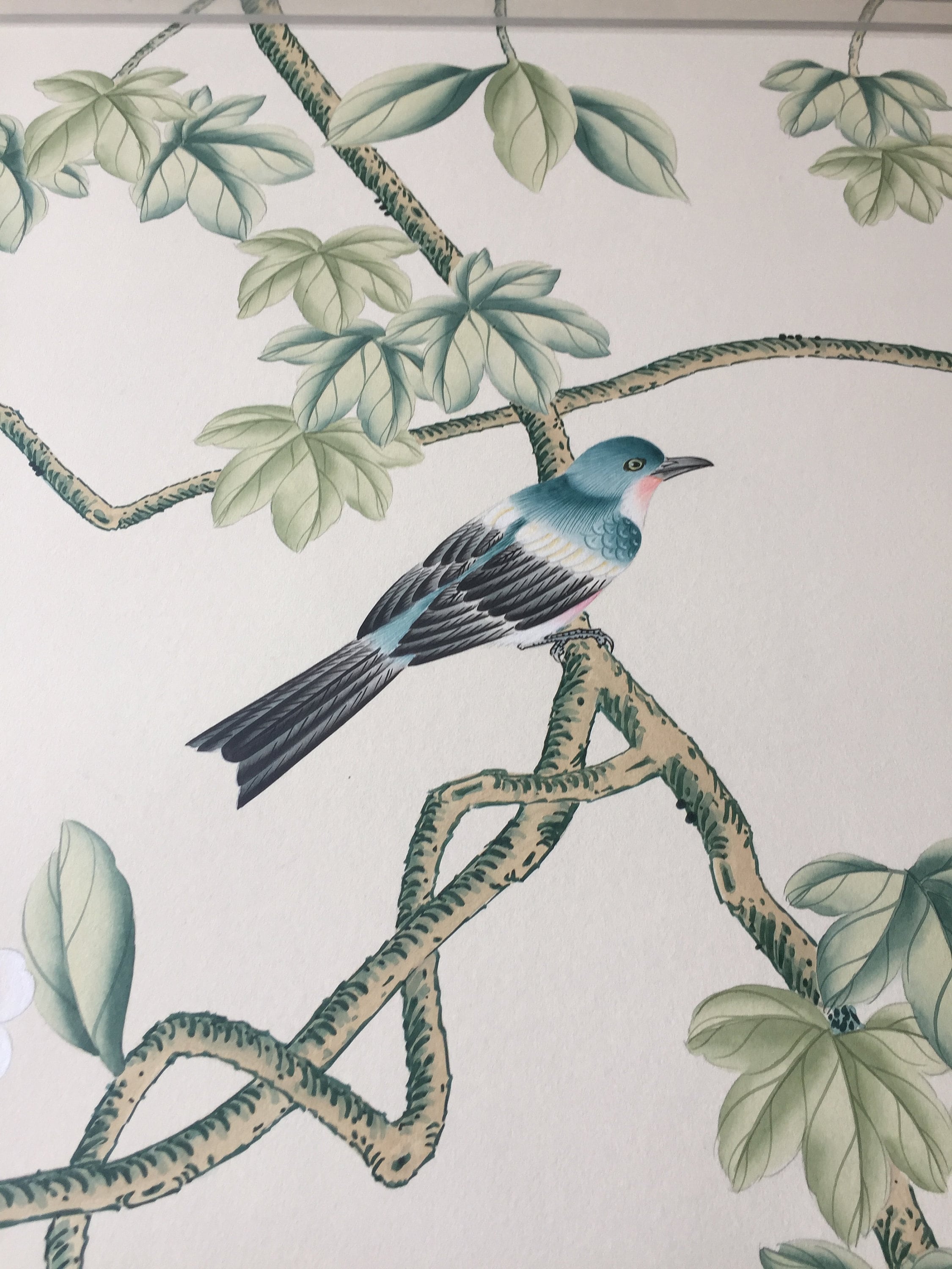 G-016 Birds and Vines on Custom Color Paper