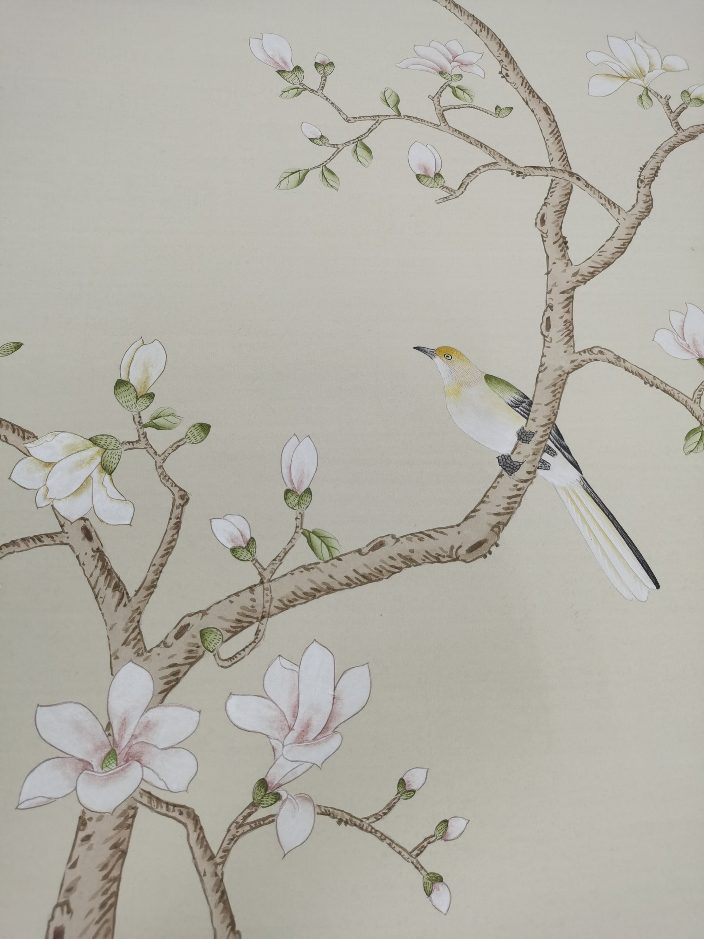 G-006 Birds Twittering in Serenity on Custom Color Paper Benjamin Moore Seapearl OC-19